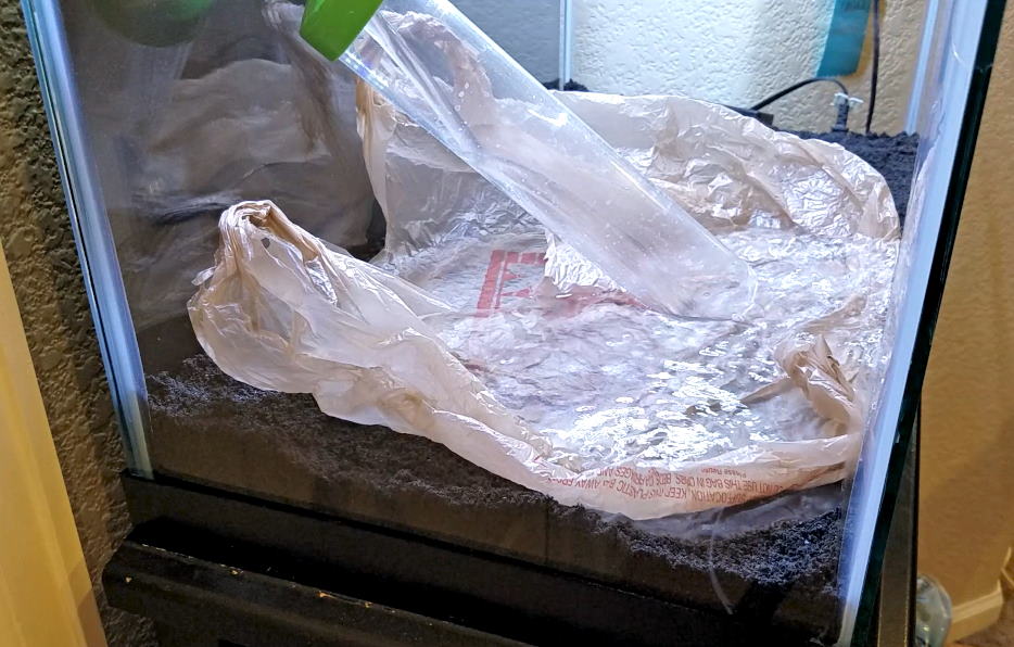 A GAMER'S WIFE How to Keep Your Aquarium Sand Clean