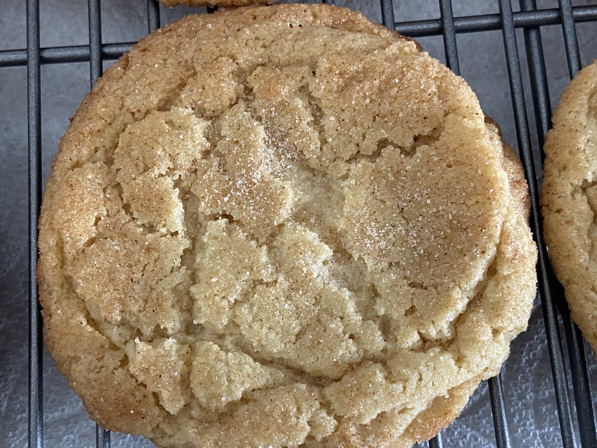 The Pastry Chef's Baking Snickerdoodles half butter, half shortening