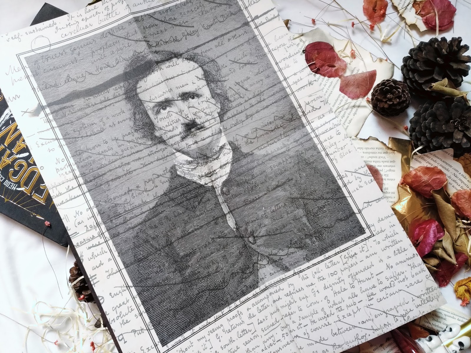 MEDO CLÁSSICO EDGAR ALLAN POE VOL.II DICA DE LIVRO: MEDO CLÁSSICO EDGAR ALLAN POE VOL.II
