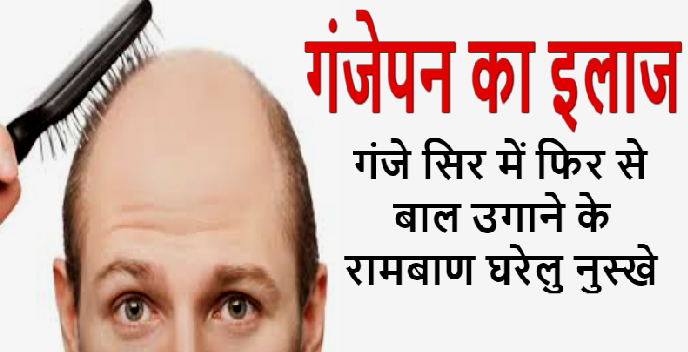 ग ज पन क इल ज ब ब र मद व ट प स