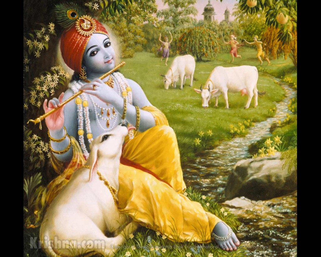 My words My love: Importance of worshiping a cow
