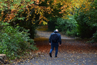 A man walks through an autumnal looking Armstrong Park