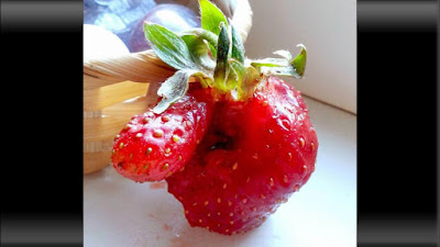 photo buah strawberry yang bentuknya menyerupai monster berhidung panjang