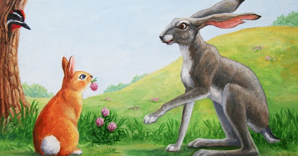 Hare and Rabbit difference. Заяц vs кролик. Hare Rabbit, Bunny difference. Кролик и зайчик королевичи. Против зайчика