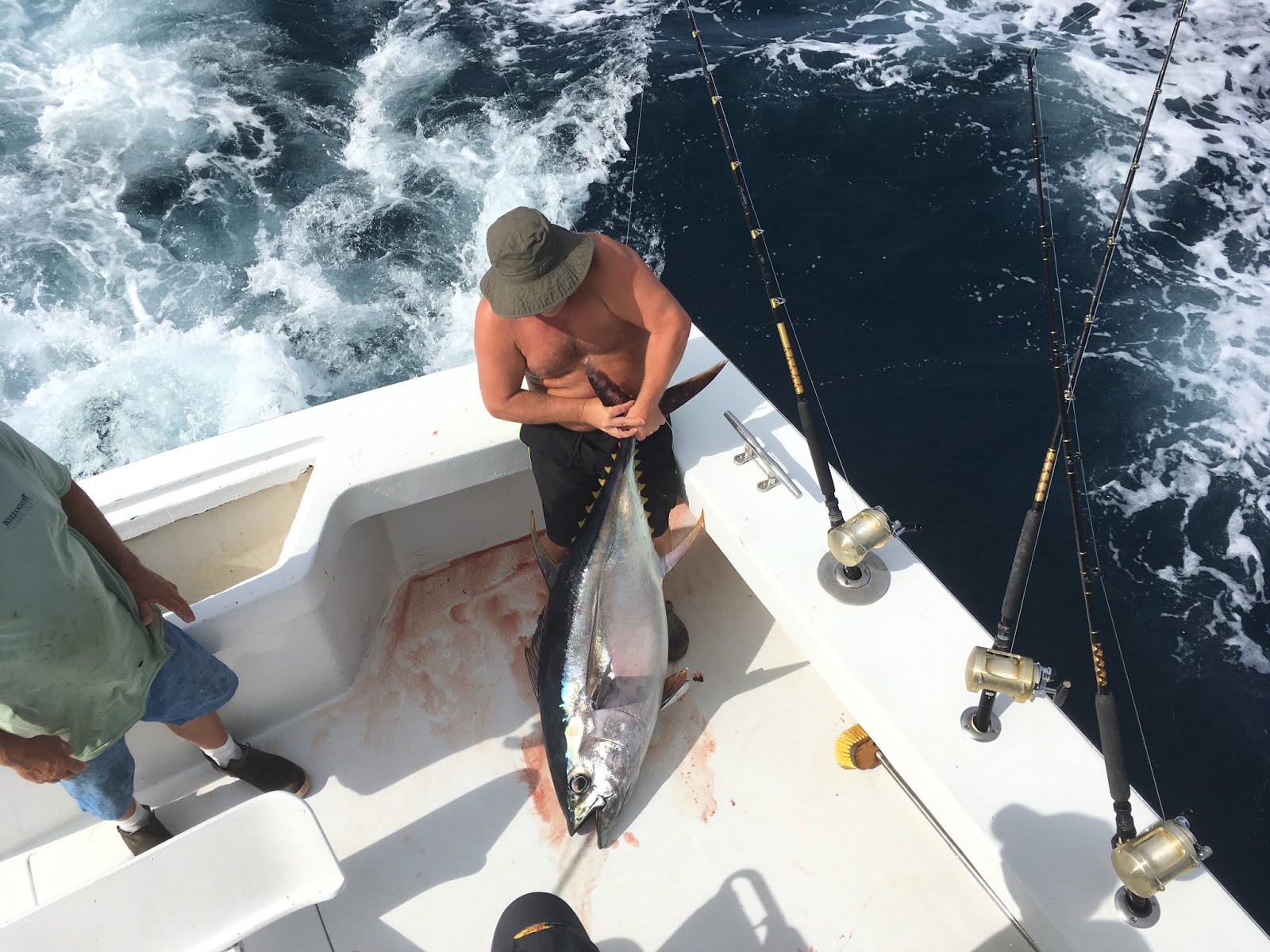 Outer Banks Fishing Charter Bigeye Tuna, Yellowfin Tuna, Wahoo