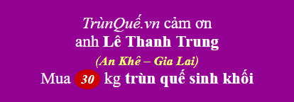 Trùn quế An Khê - Gia Lai