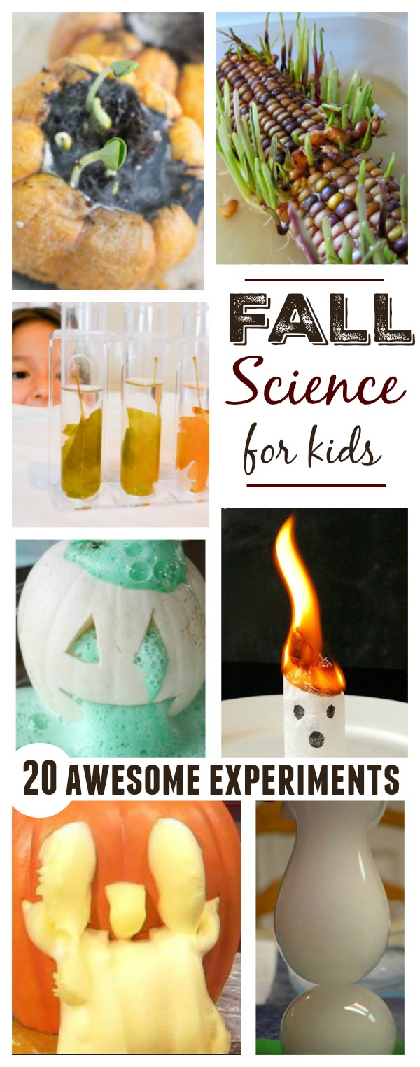 20+ Fall science experiments for kids. These are so cool! #sciencexperimentskids #scienceforkids #growingajeweledrose #fallscienceactivitiespreschool #fallscienceexperimentsforkids #fallscienceexperiments #fallexperimentsforkids #fallexperiments #activitiesforkids #craftsforkids 20+ Fall science experiments for kids. These are so cool! #sciencexperimentskids #scienceforkids #growingajeweledrose #fallscienceactivitiespreschool #fallscienceexperimentsforkids #fallscienceexperiments #fallexperimentsforkids #fallexperiments #activitiesforkids #craftsforkids