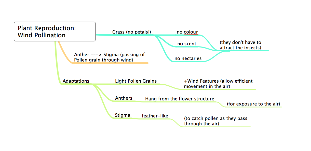 WHAT IS WIND POLLINATION FOR KIDS visual data 8