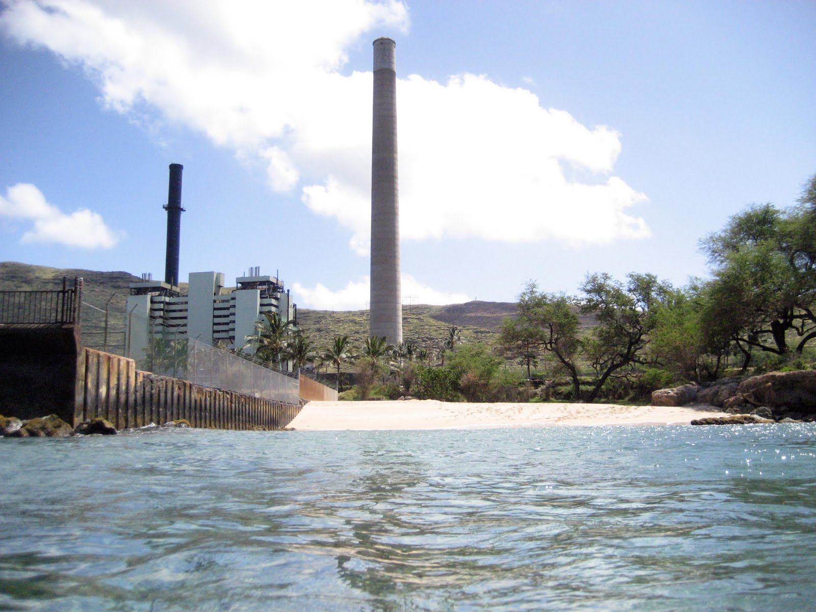 The Pineapple Project Electric Beach