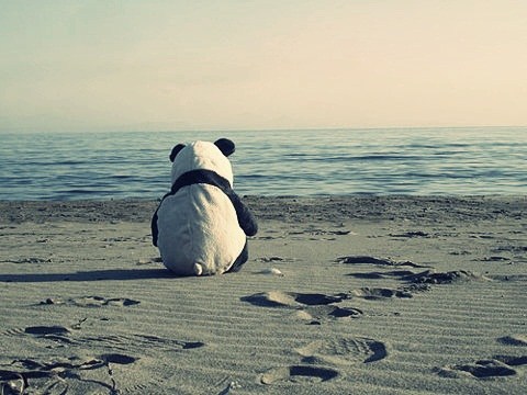 Rasa Cinta yang Menerima Masa Lalu