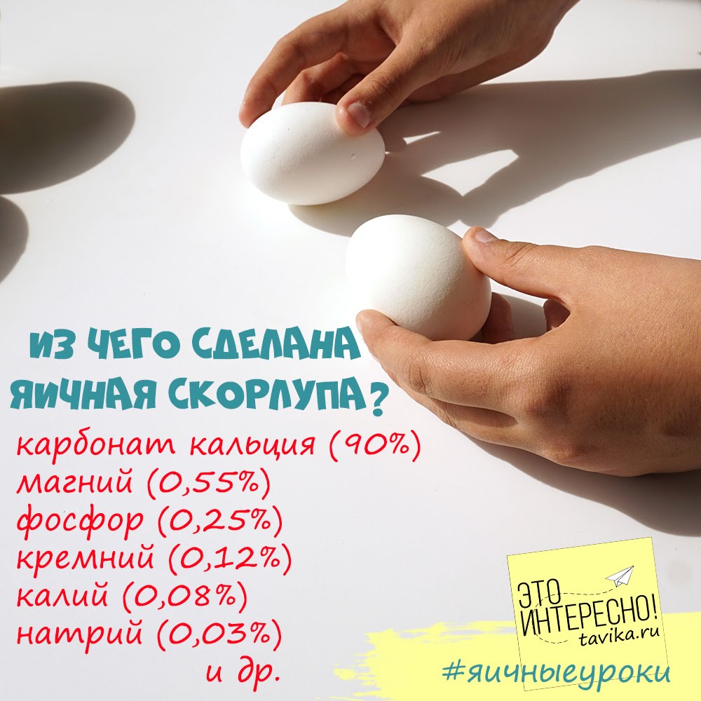 Сколько грамм скорлупы в яйце. В яичной скорлупе содержится кальций. Кальций на яичной скорлупе. Скорлупа яйца состав. Сколько кальция в яичной скорлупе.