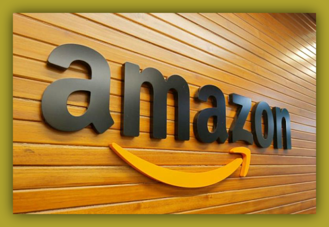 Amazon Invested 50 Corers In Indian Company | Company Business News