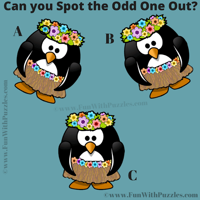 Find the Odd One Out: Challenging Observation Quiz Answer