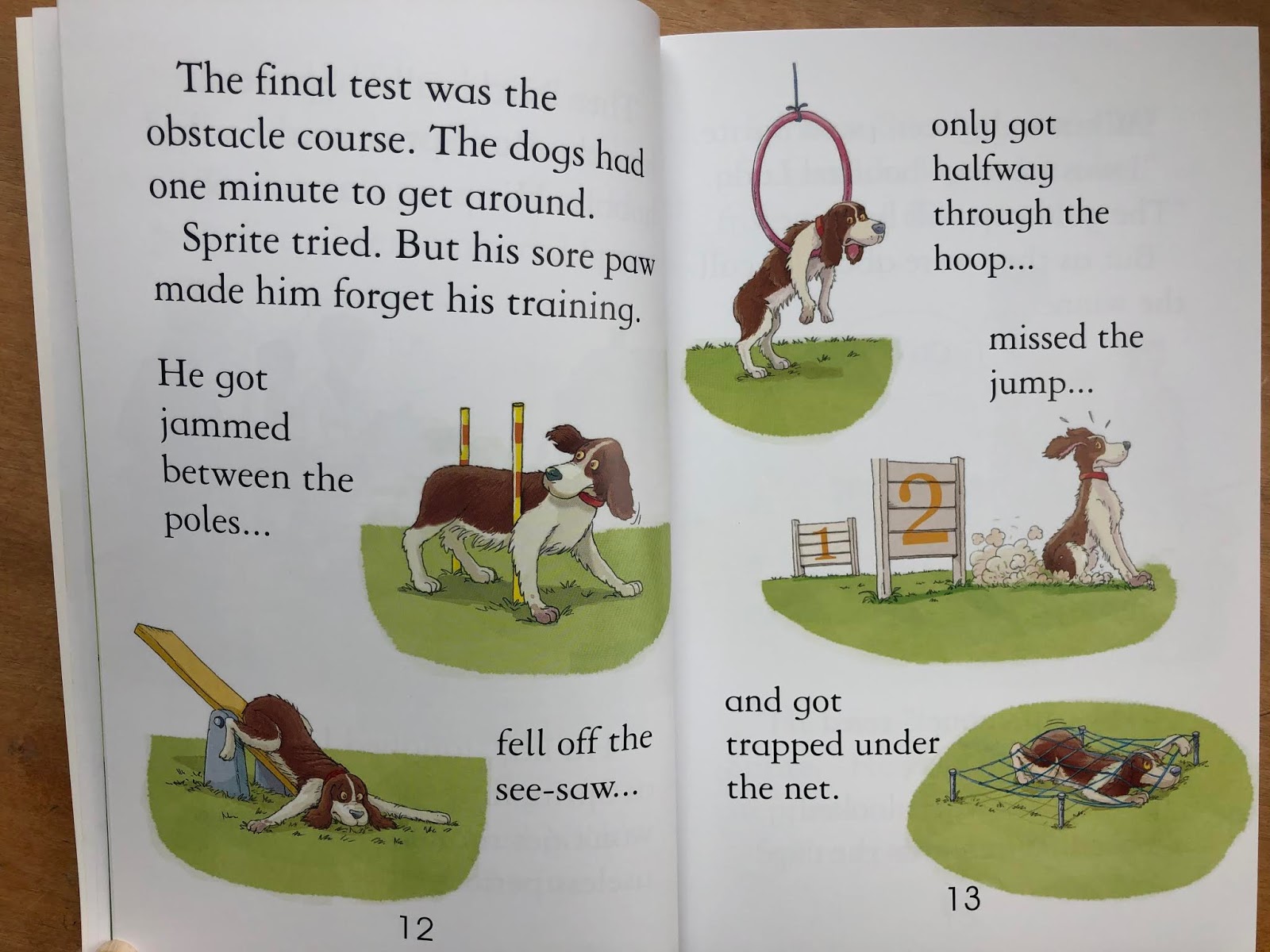 Abundant Family Living Stories of Dogs (Read with Usborne, Level 3)