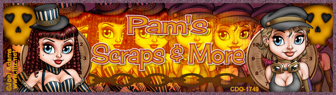 Pam's Scraps