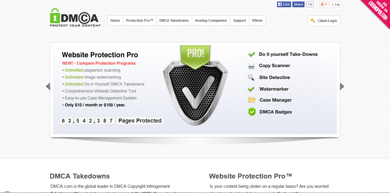 Website protection