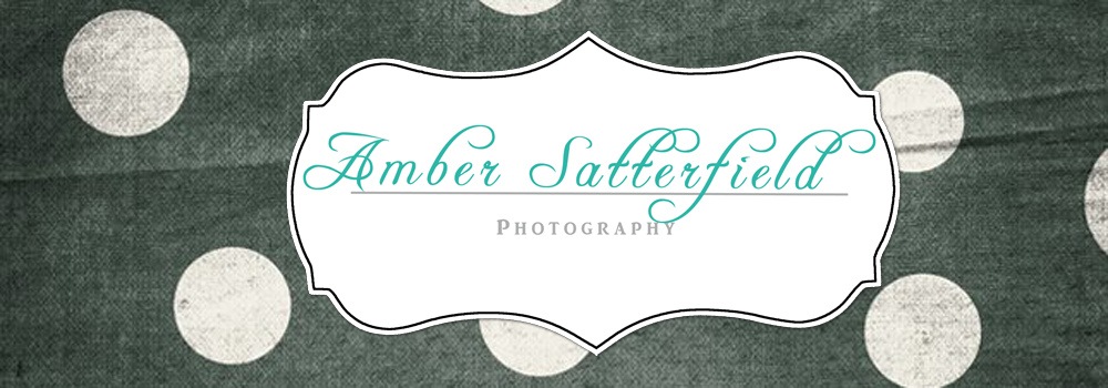 Amber Satterfield Photography