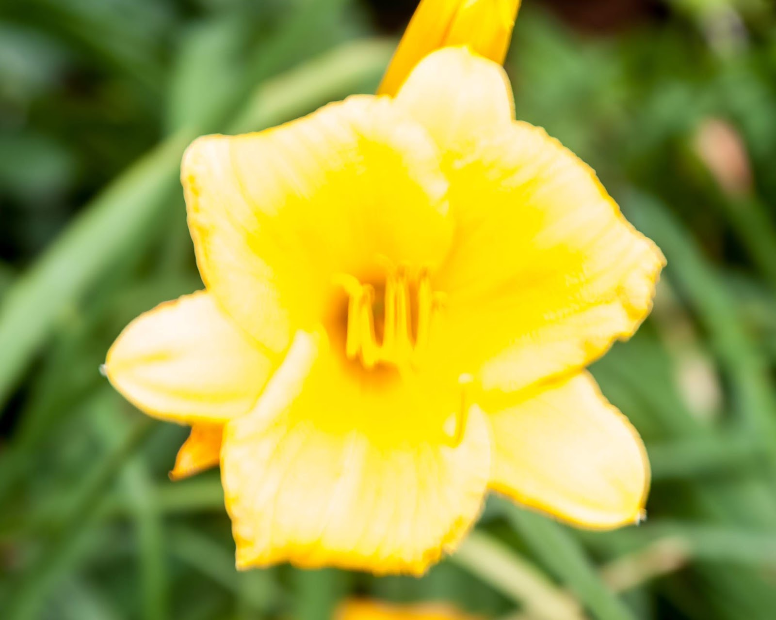 Overexposed or Underexposed Shots