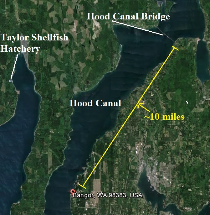 Protect Our Shoreline News Naval Oil Spill in Hood Canal Spreads From