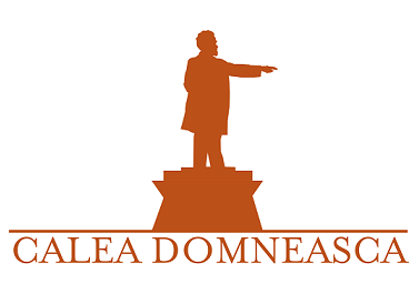 Calea Domneasca