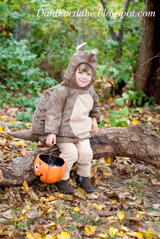 Dahlhart Lane Armadillo Costume