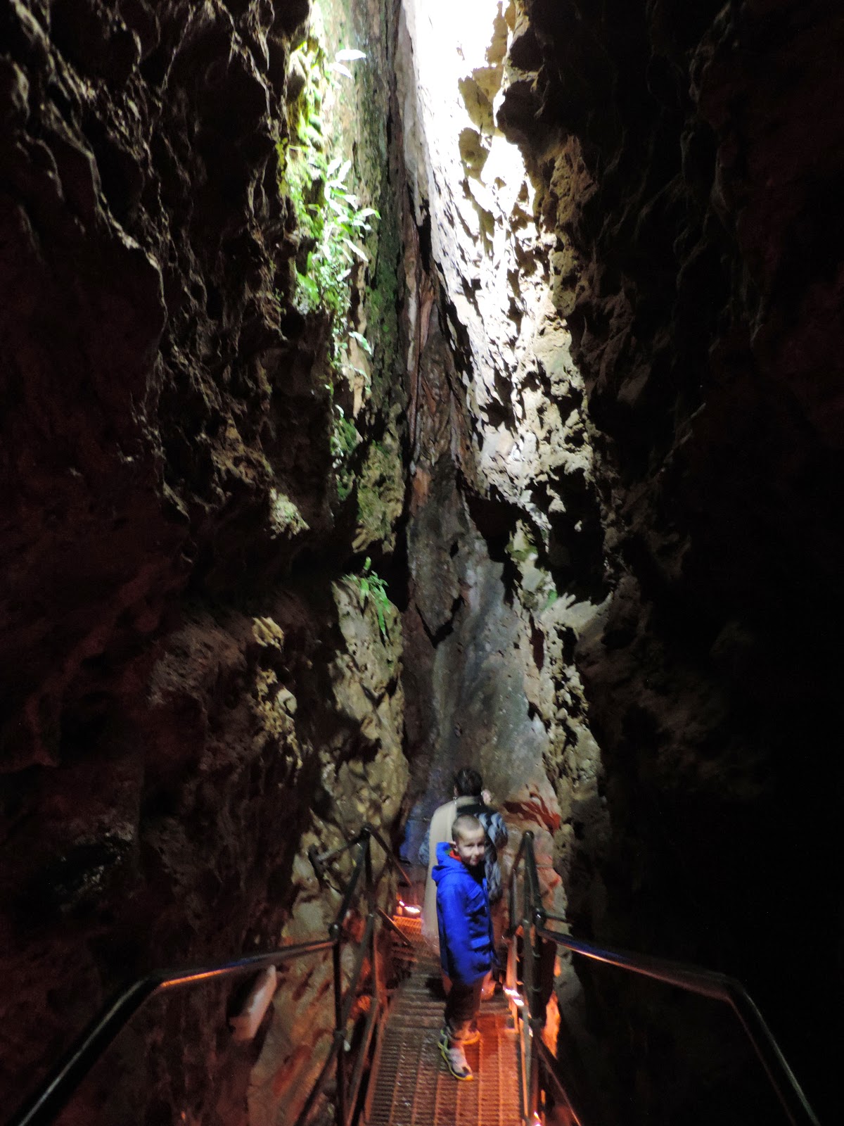 wookey hole tour limestone caverns