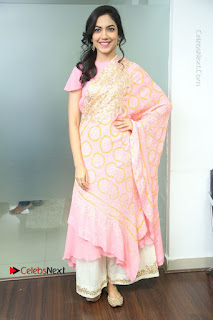 Actress Ritu Varma Pos in Beautiful Pink Anarkali Dress at at Keshava Movie Interview  0005