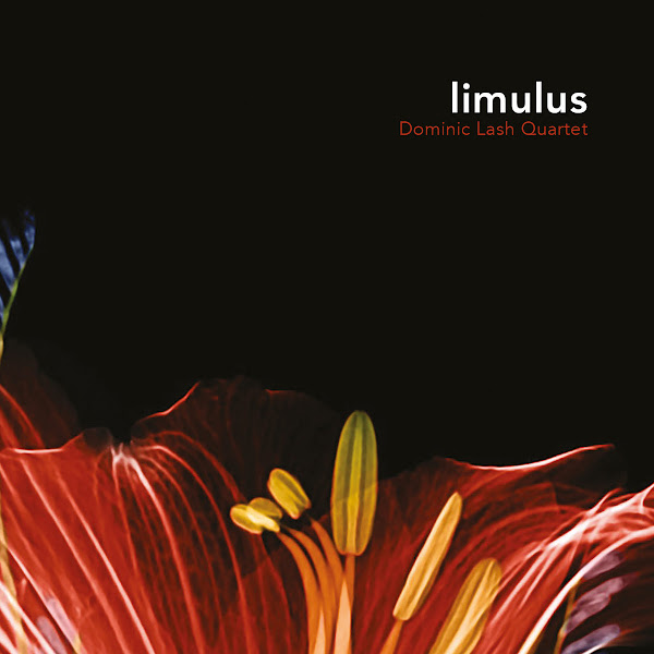 Orynximprov'andsounds Dominic Lash w Consorts D. Lash Quartet