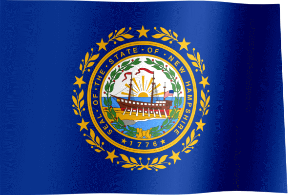 New Hampshire Flag GIF All Waving Flags