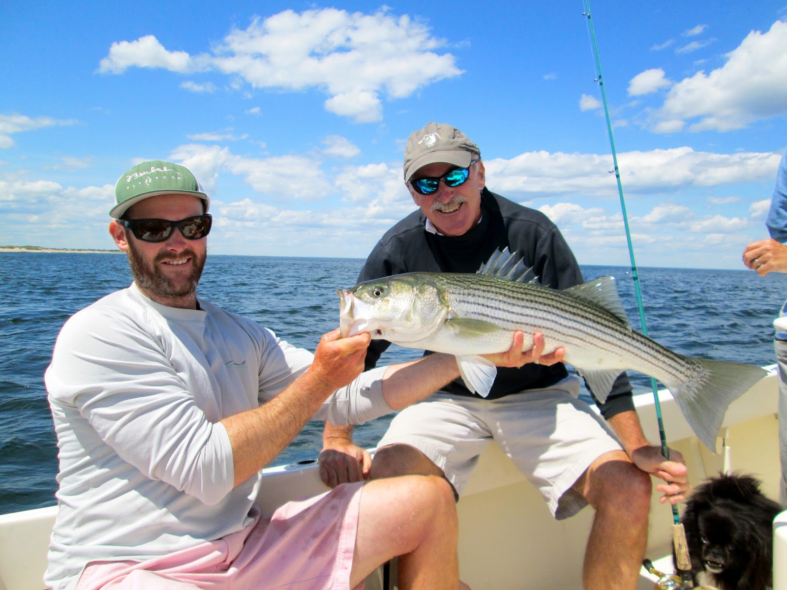 Boston Fly Fishing and Report Plum Island Striped Bass fishing with
