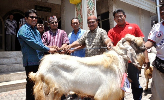 Rayakan Qurban, Wabup Sanjaya Serahkan Kambing