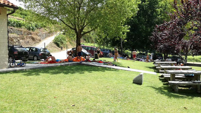 Mesas de Merendas no relvado Mesas de Merendas no relvado