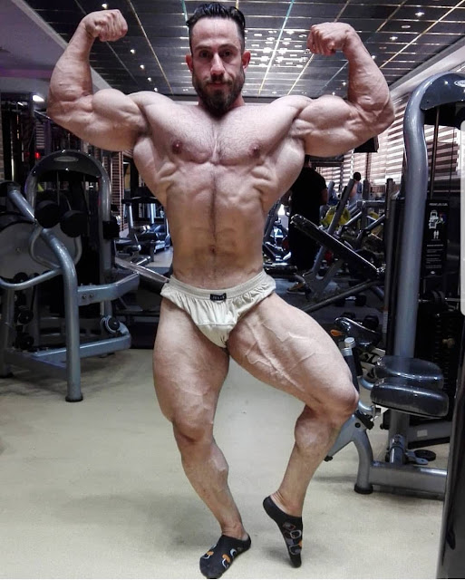 Wild Iranian stallion Saman Olfati World Wide BodyBuilders