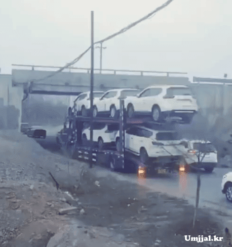 Umjjal_kr_018.gif