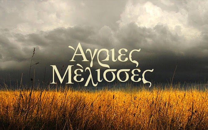 Άγριες Μέλισσες: Κόβει την ανάσα το τρέιλερ για τα νέα επεισόδια