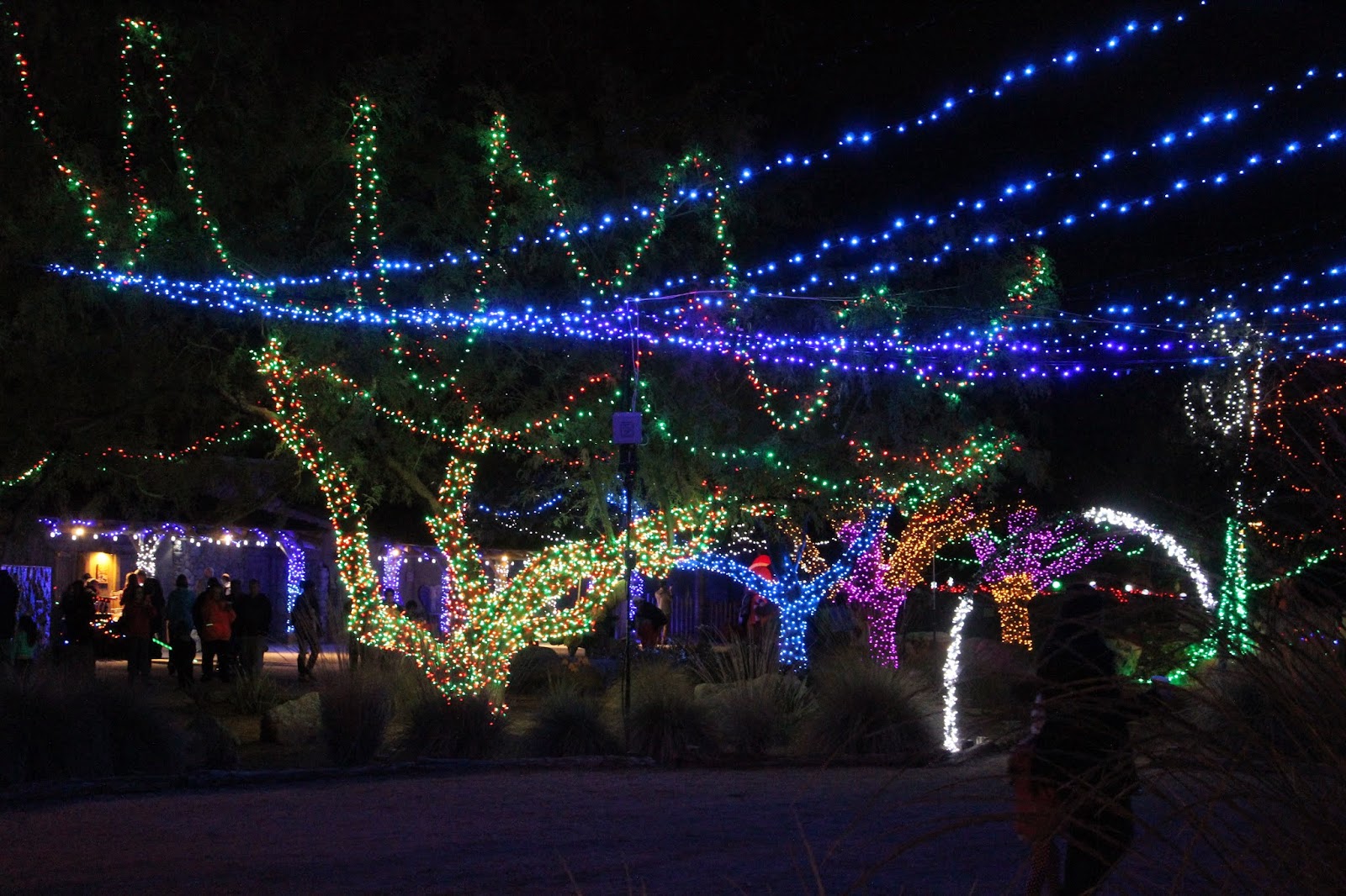 Motel Miguel Reid Park Zoo lights