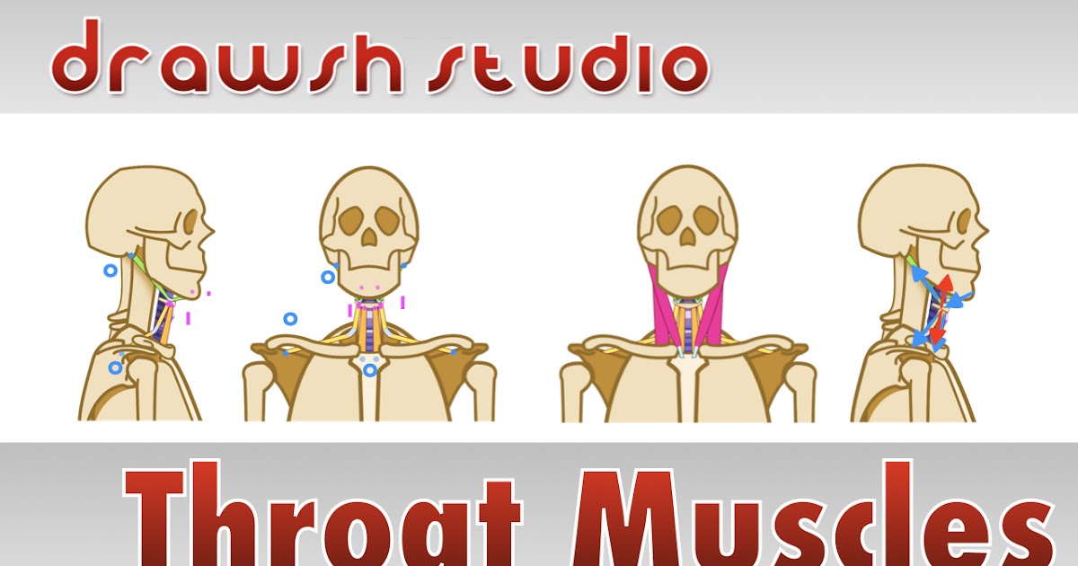 Drawsh The Muscles and Structures of the Throat
