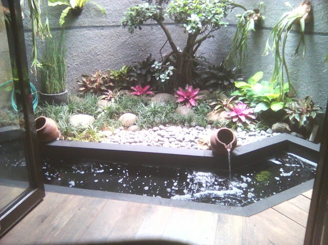 Jasa pembuatan kolam koi - minimalis di Semarang