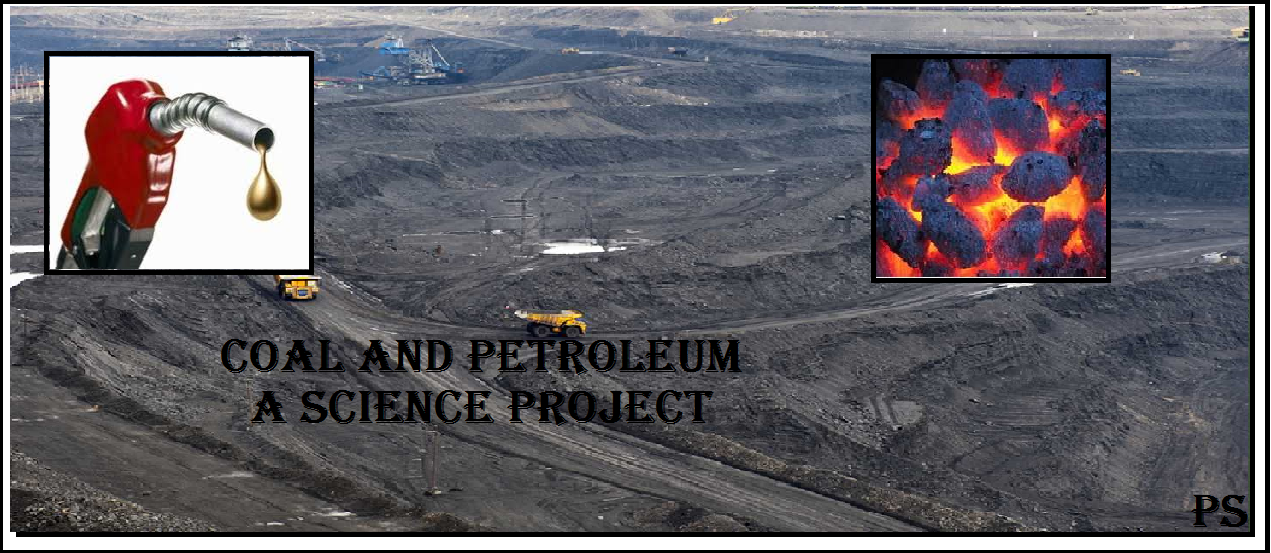 Coal and Petroleum A science project Prime Study Point