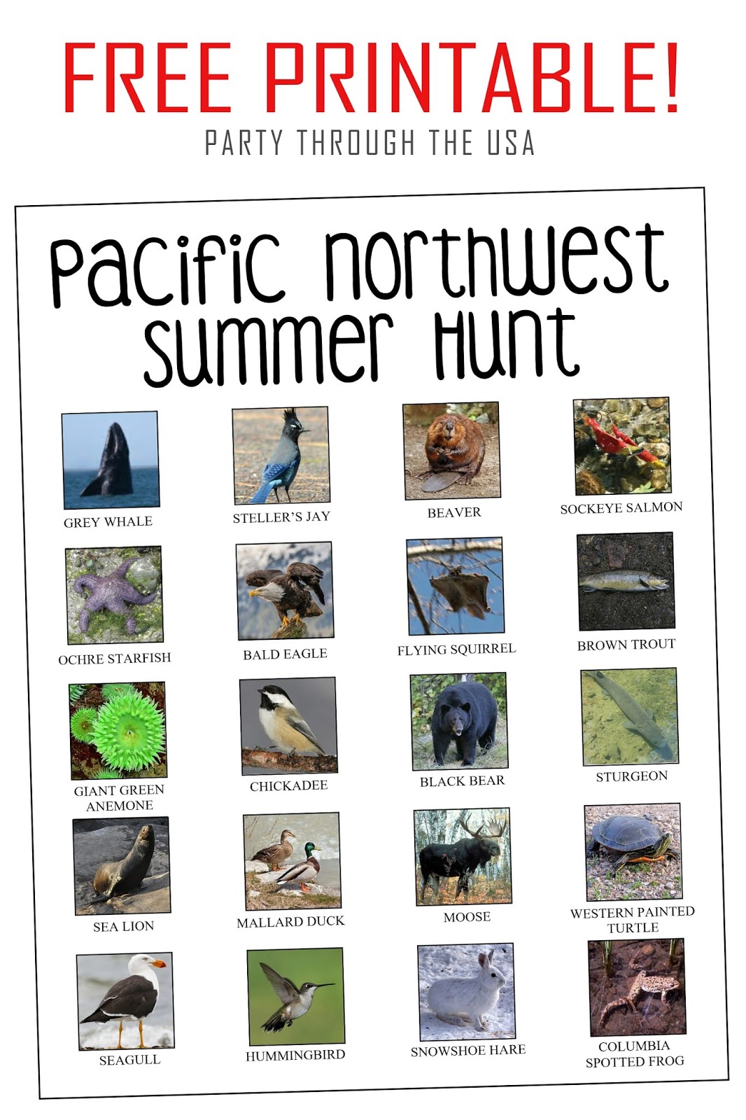 Scavenger Hunt Printable for Pacific Northwest Animals