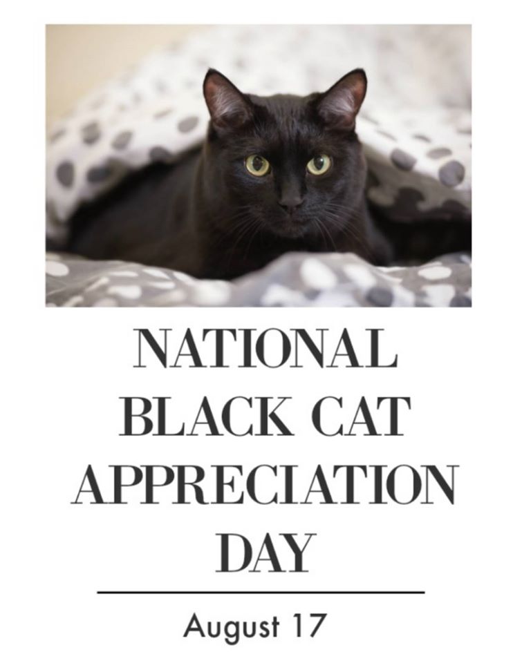 National Black Cat Appreciation Day