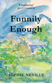 Funnily Enough ~ illustrated hardcover