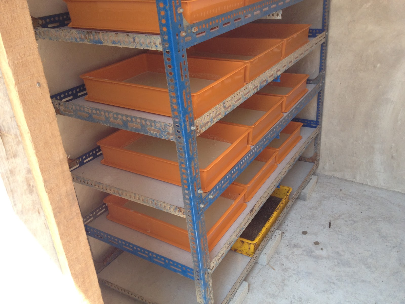 Swiftlet Farming: Million Dollars A Year Income Potential.: The First ...