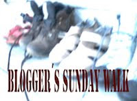 REMEMBER! Next Bloggers Sunday Walk: Spring, April 27th