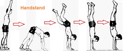 Senam Lantai Lengkap Gambar Gerakan Dan Ukuran Lapangan Lengkap Ilmuips My Id Materi Belajar Gratis