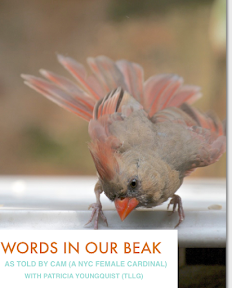 BUY "WORDS IN OUR BEAK, the Apple Book Version"