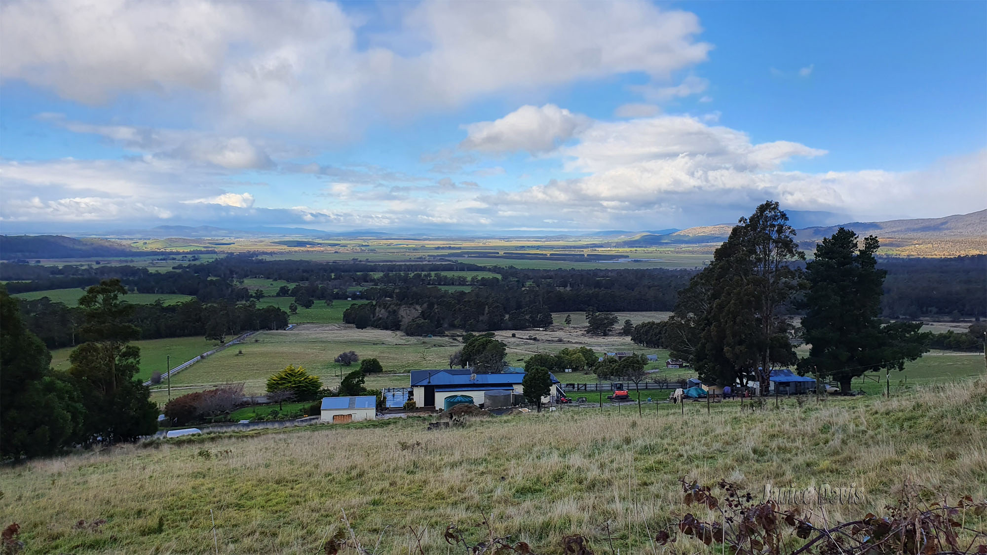 thoughts & happenings Blackwood Creek, Tasmania