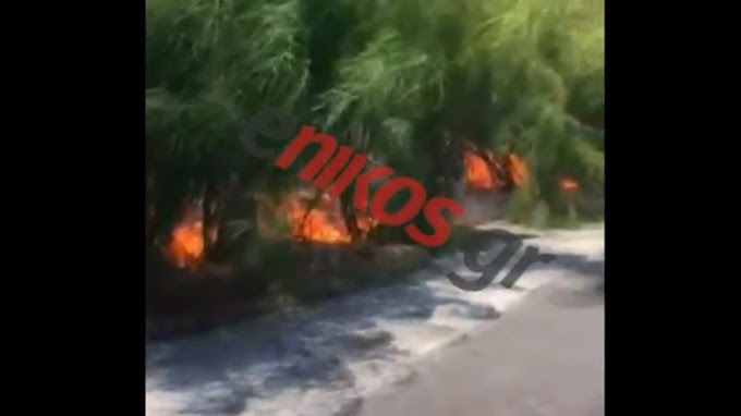 Φωτιά ΤΩΡΑ στη Βουλιαγμένη 