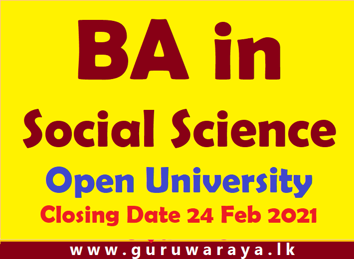 BA in Social Sciences Teacher