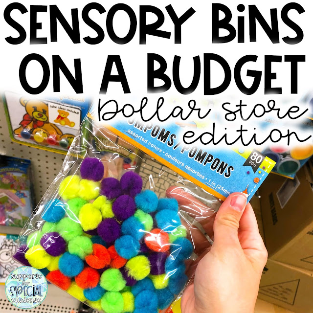 Sensory Bins on a Budget Dollar Store Edition! Supports for Special